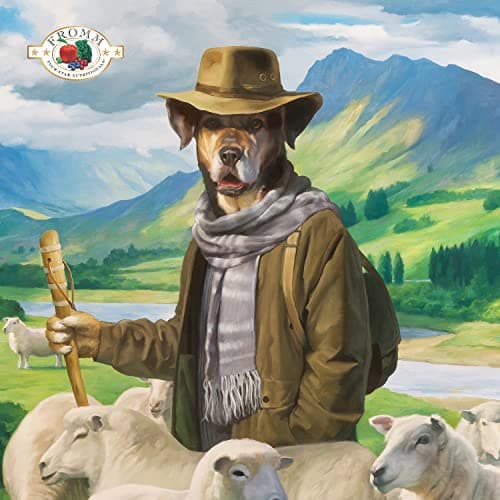 Fromm Four-Star Nutritionals Zealambder Dog Food - Premium Dry Dog Food - Lamb Recipe - 26 lb - View 2