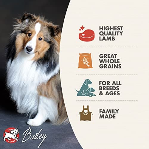 Fromm Four-Star Nutritionals Zealambder Dog Food - Premium Dry Dog Food - Lamb Recipe - 26 lb - View 3