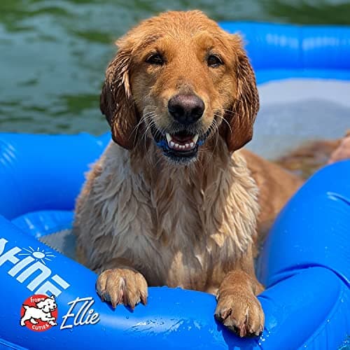Fromm Four-Star Nutritionals Zealambder Dog Food - Premium Dry Dog Food - Lamb Recipe - 26 lb - View 8
