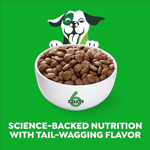 Greenies Smart Essentials Adult High Protein Dry Dog Food Real Chicken & Rice Recipe, 6 lb. Bag - View 3
